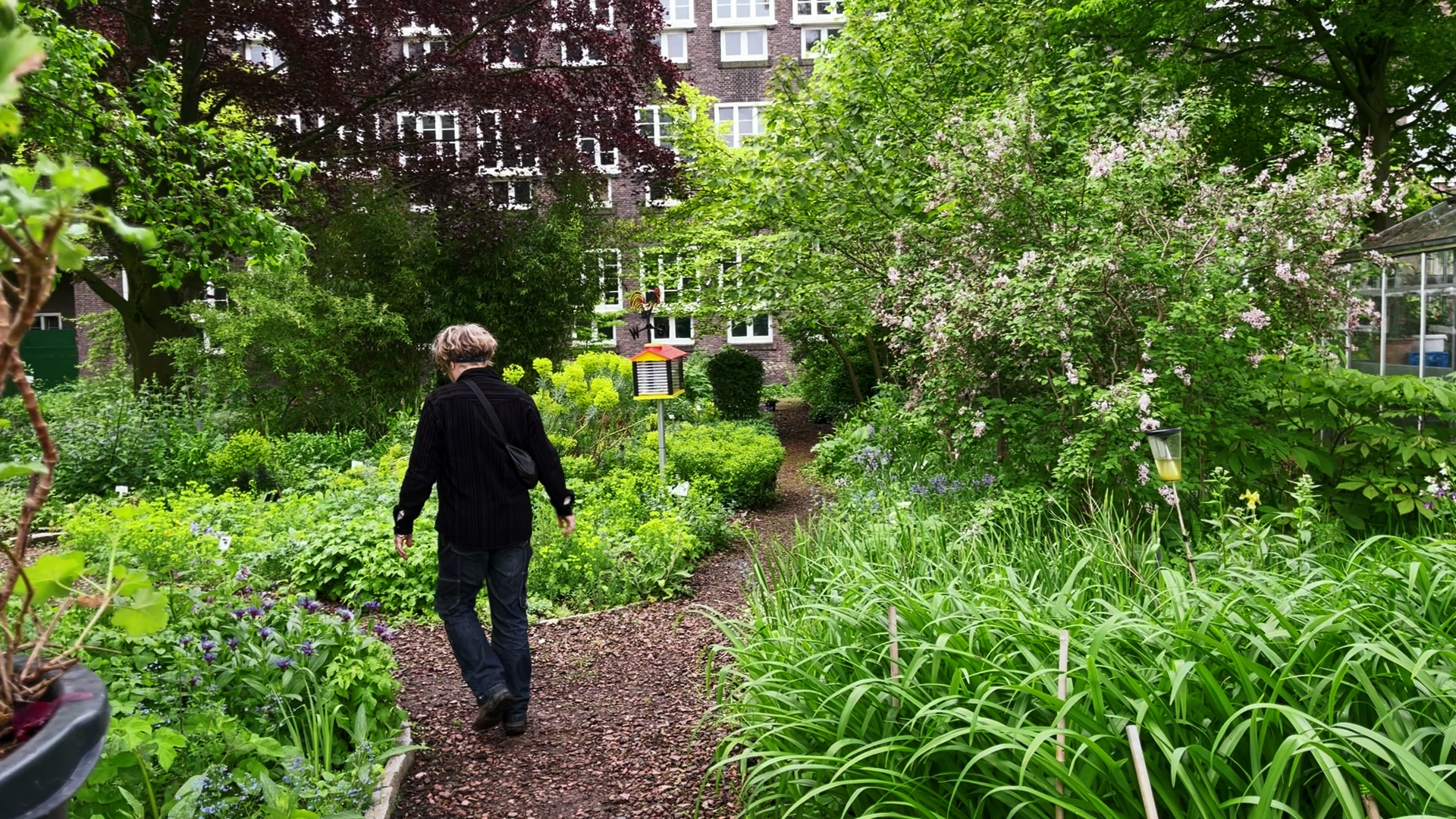 Botanische Tuin Afrikaanderplein Is Op Zoek Naar Groene Vingers Open