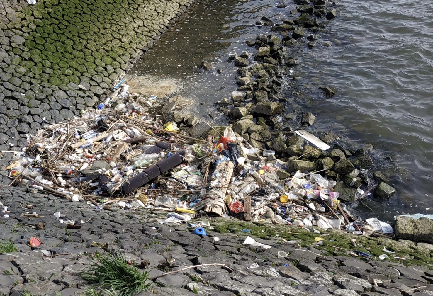 Terugkerende afvalsoep in de Maashaven: wie is er verantwoordelijk?