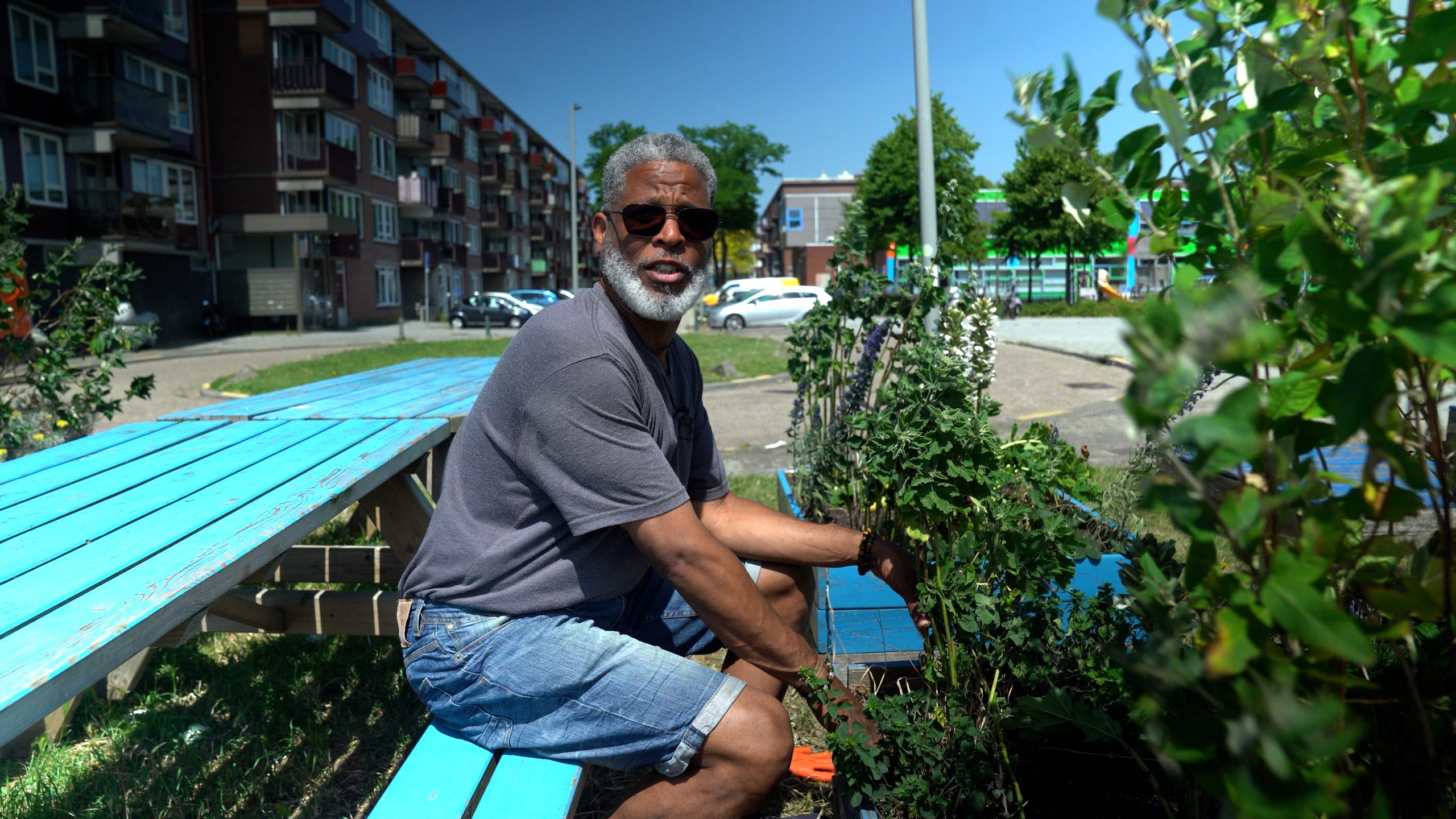 Groen genoeg of juist helemaal niet? Bewoners Oud-Schiemond en Lloydkwartier over hun wijk