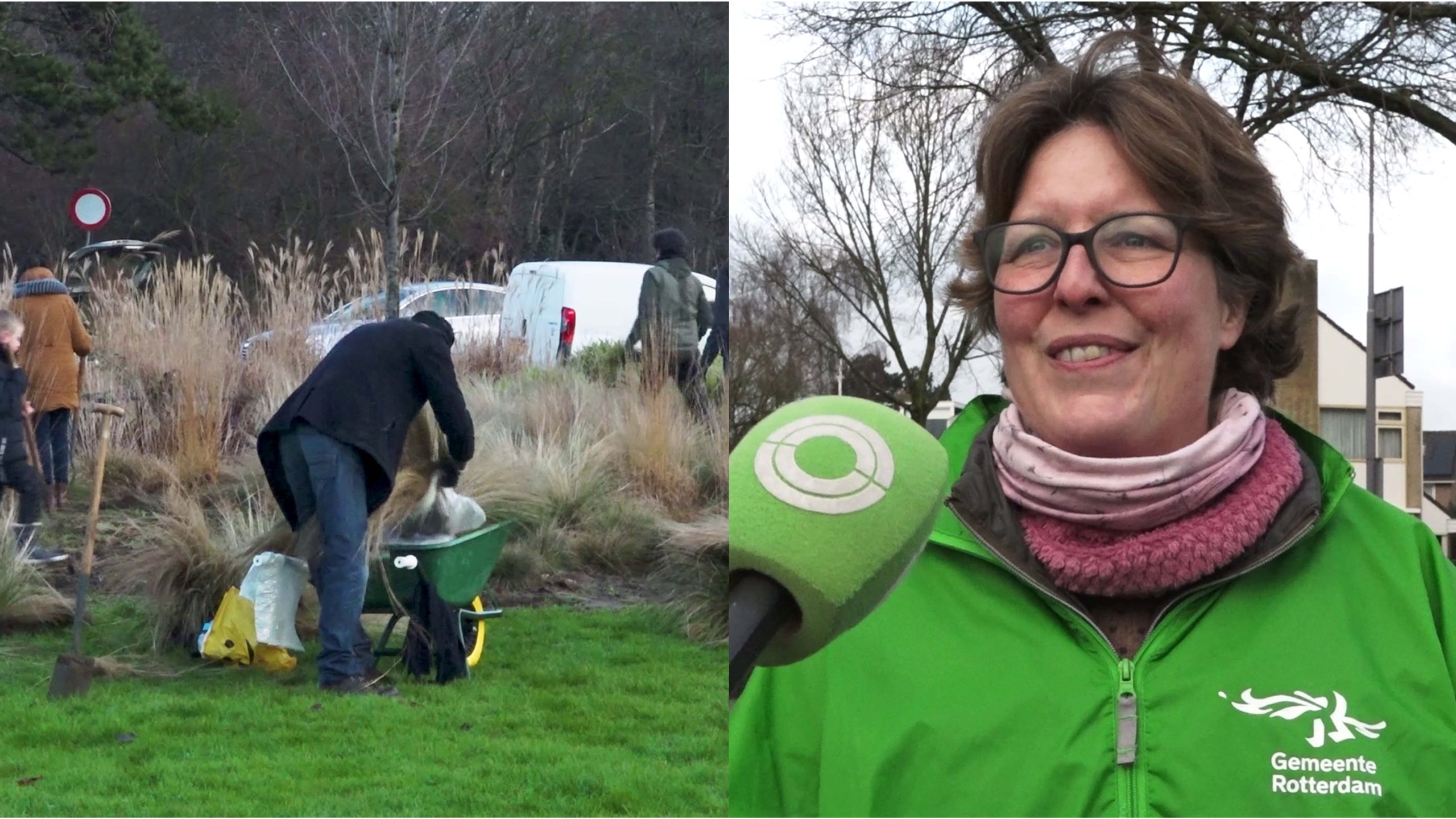 Struikrovers redden planten in Hoek van Holland: ‘Planten kun je ook recyclen!’